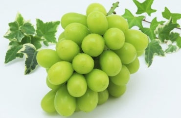 シャインマスカット 5kg 7〜10房