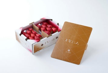 【とちおとめ】まなこころ葵