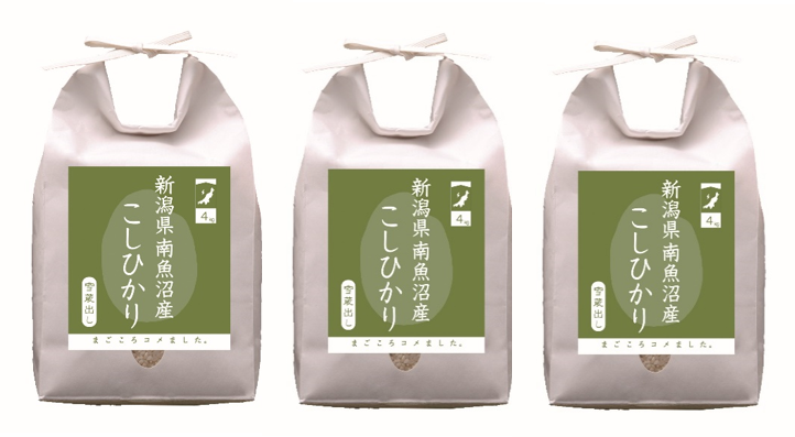 雪蔵出し 新潟県産南魚沼産こしひかり12キログラム