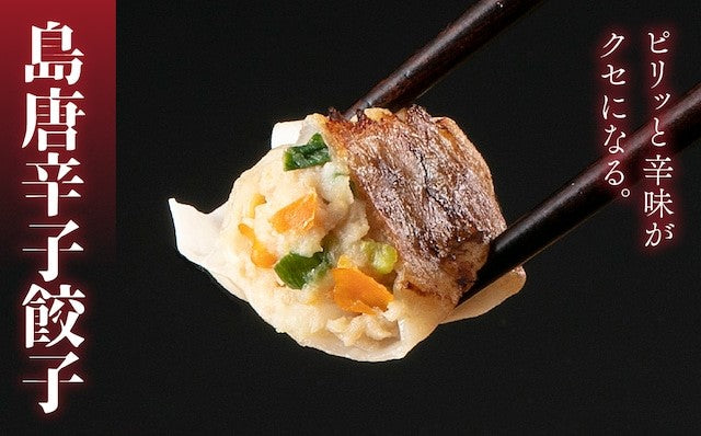 沖縄県産島唐辛子餃子100個セット