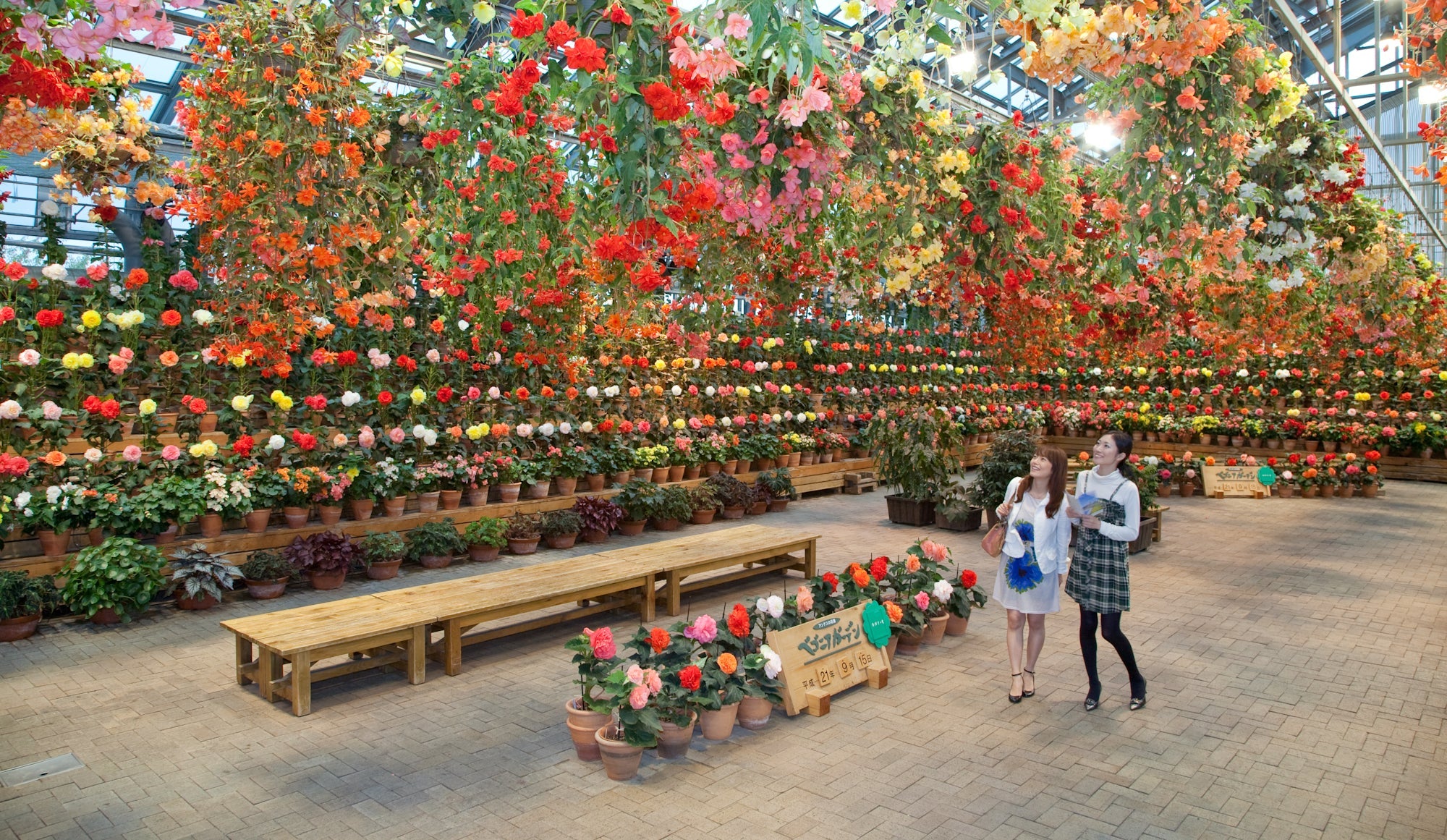 入村&ベゴニアガーデン入館料(イルミネーション期間) 2名様分