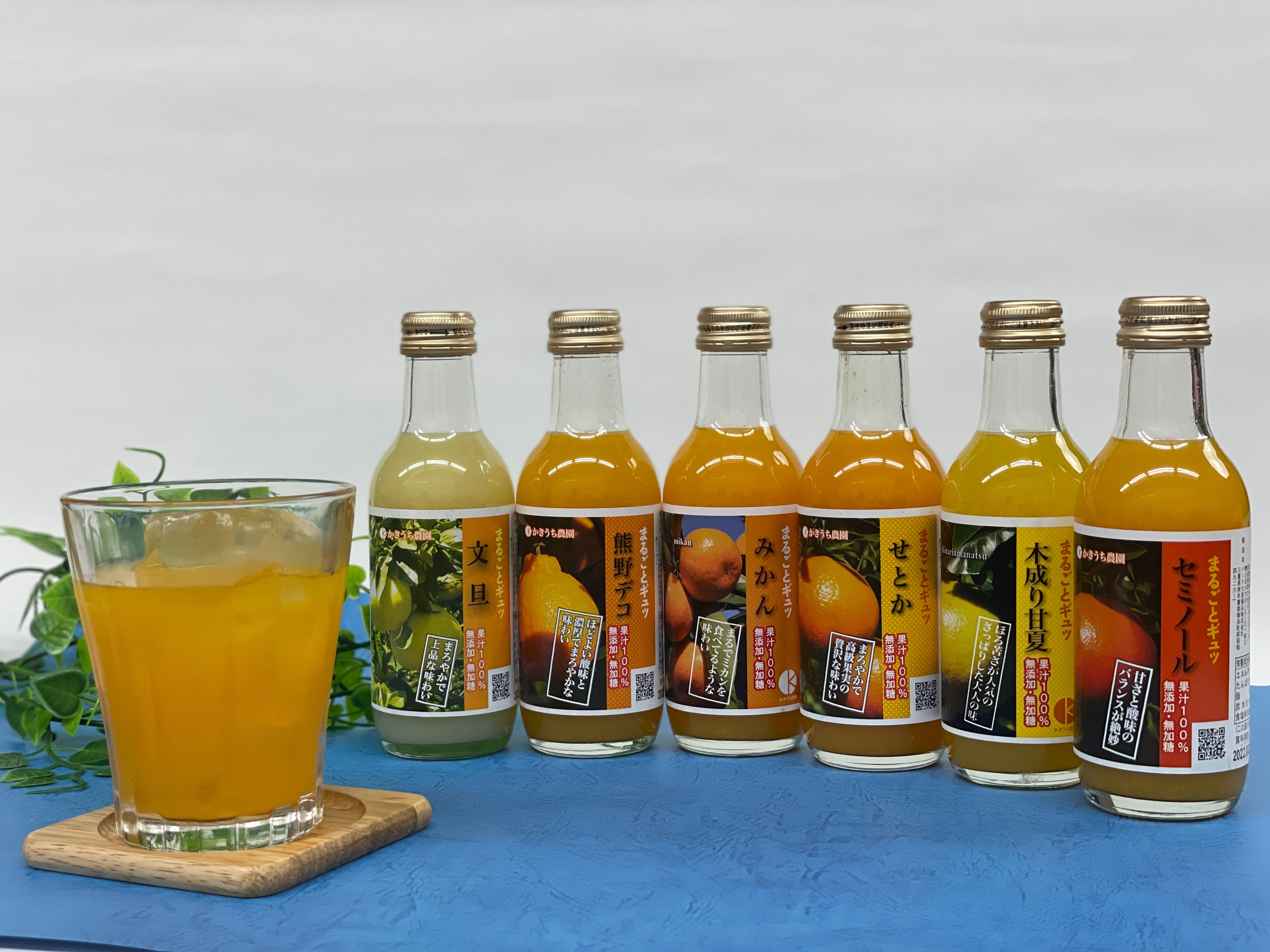 みかんジュース6本セット