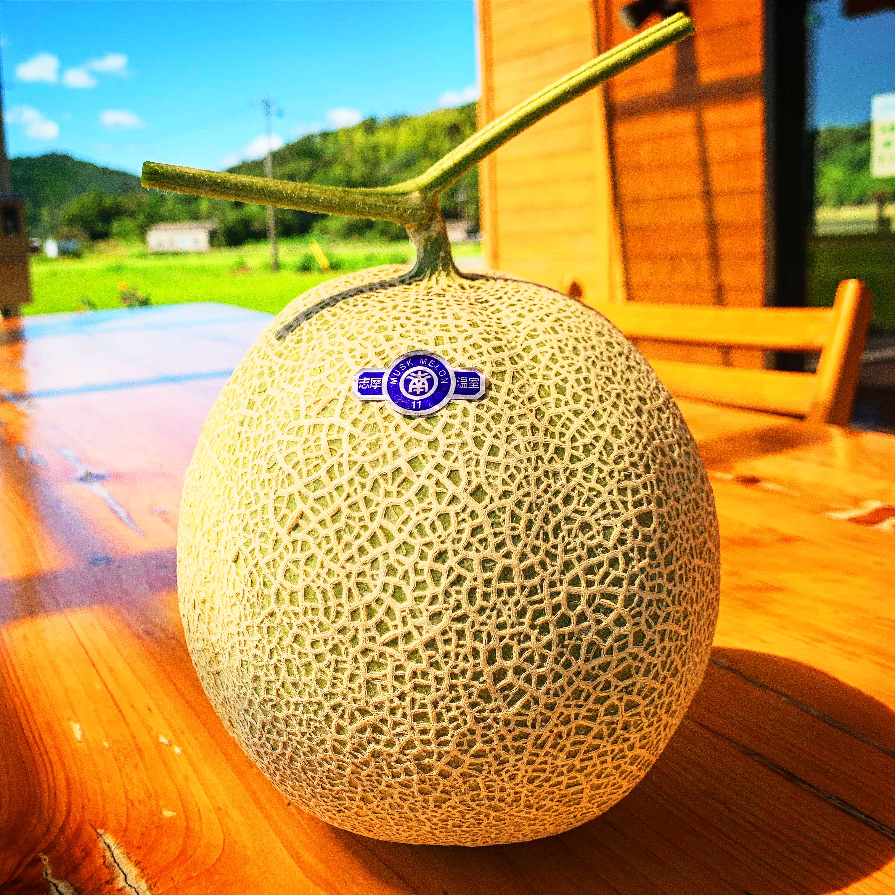 南張メロン 3玉 【大人気商品!川口農園の完熟メロン】