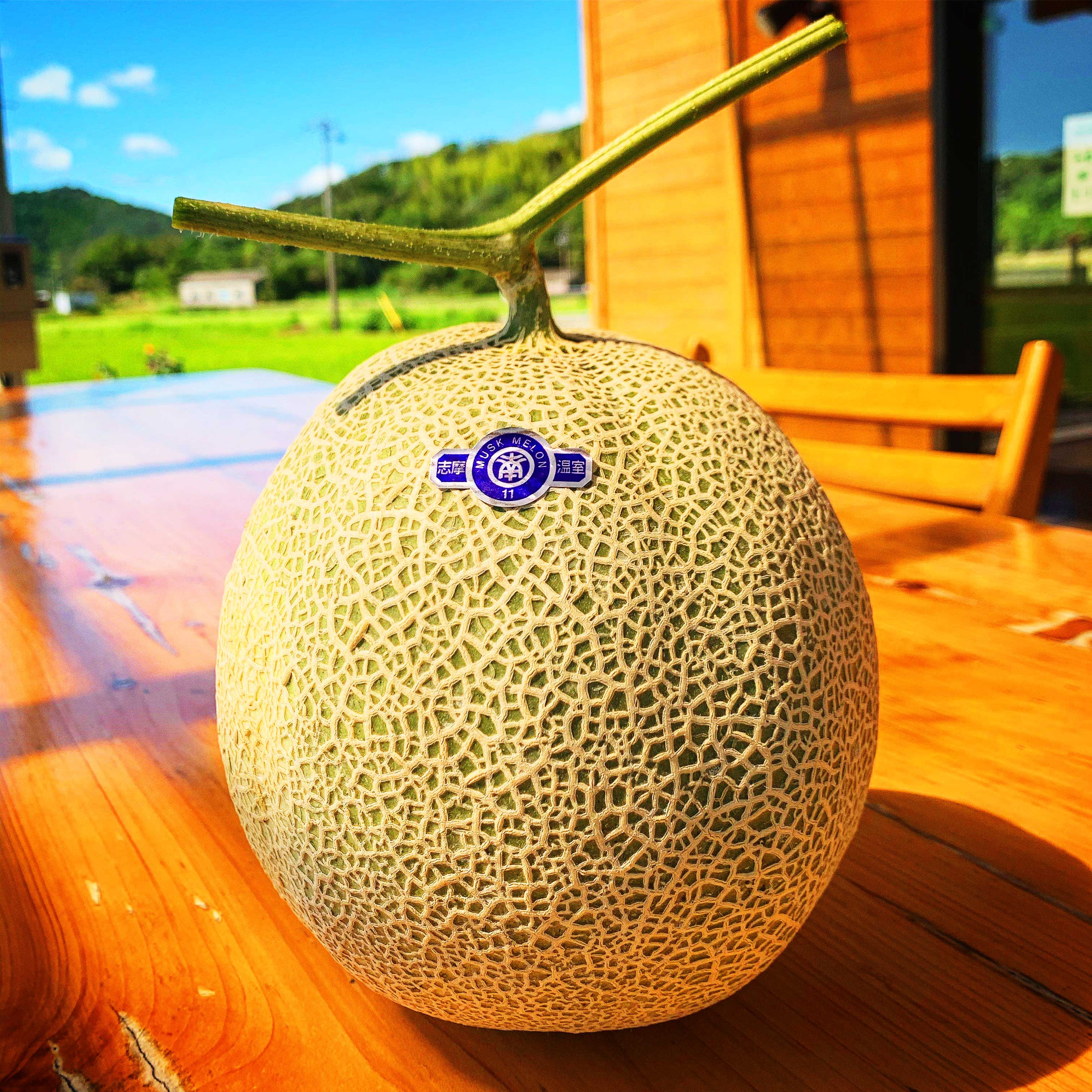 南張メロン 2玉 【大人気商品!川口農園の完熟メロン】