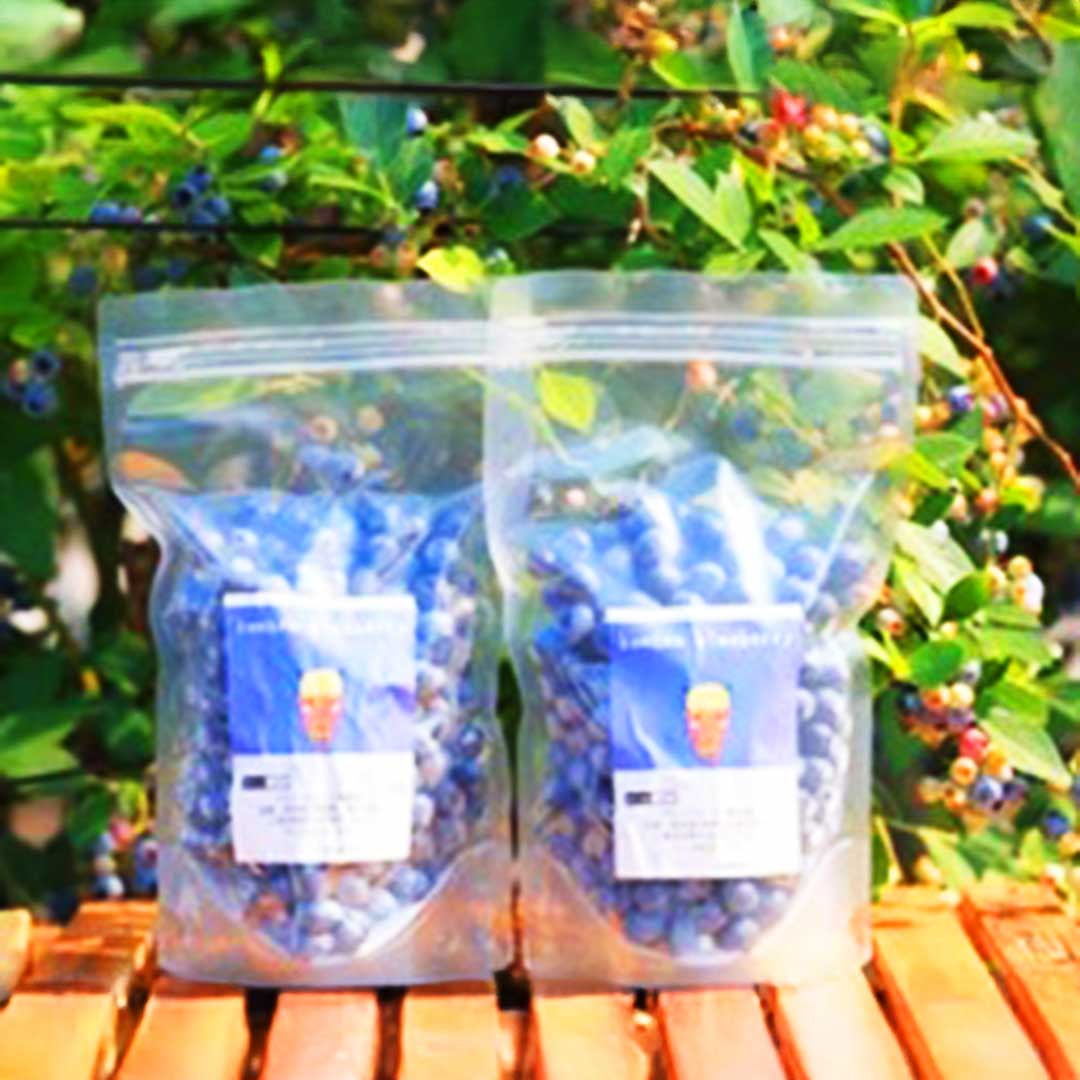 くまのブルーベリー(冷凍)