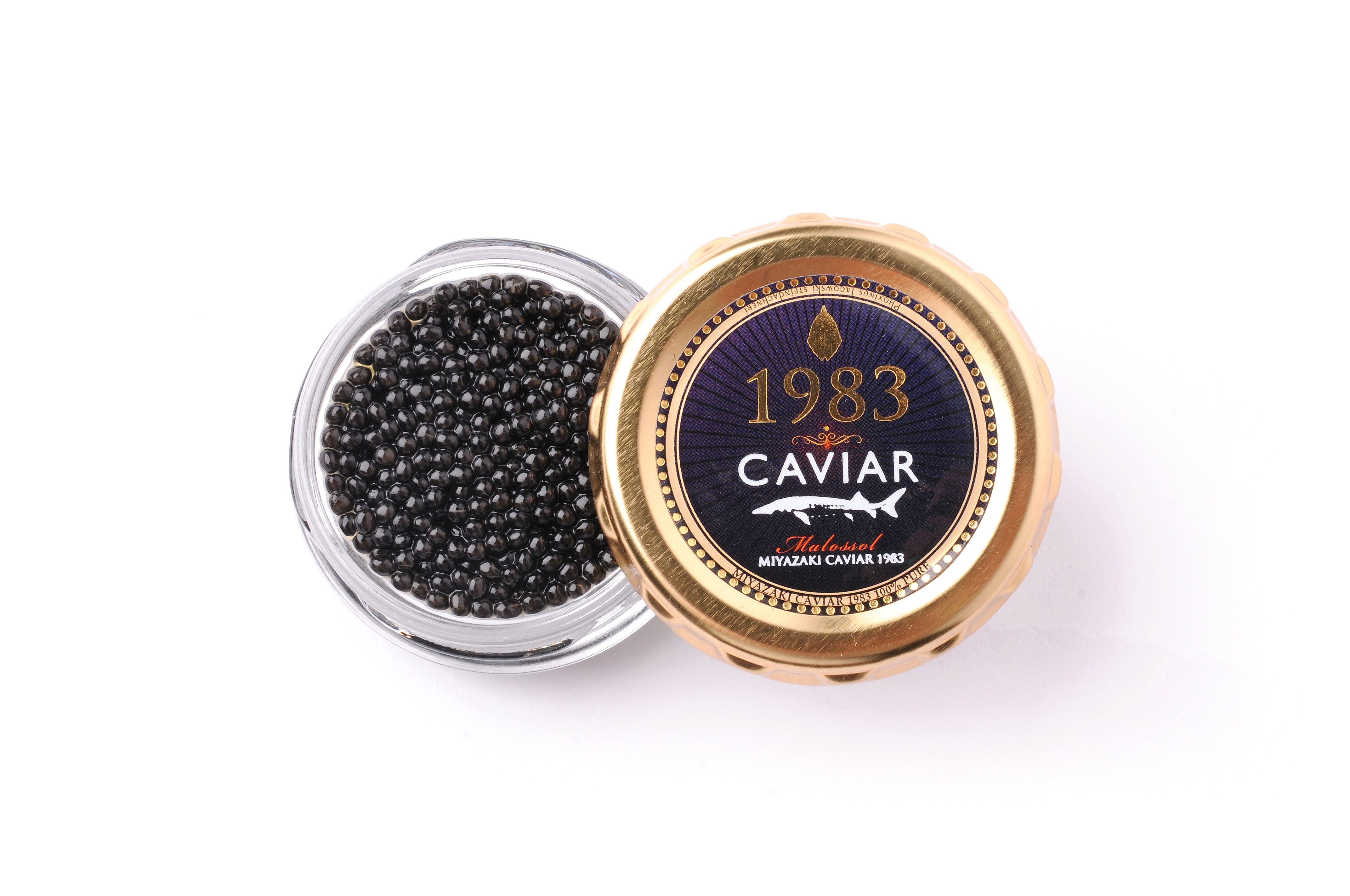 宮崎キャビア1983プレミアム(20g)