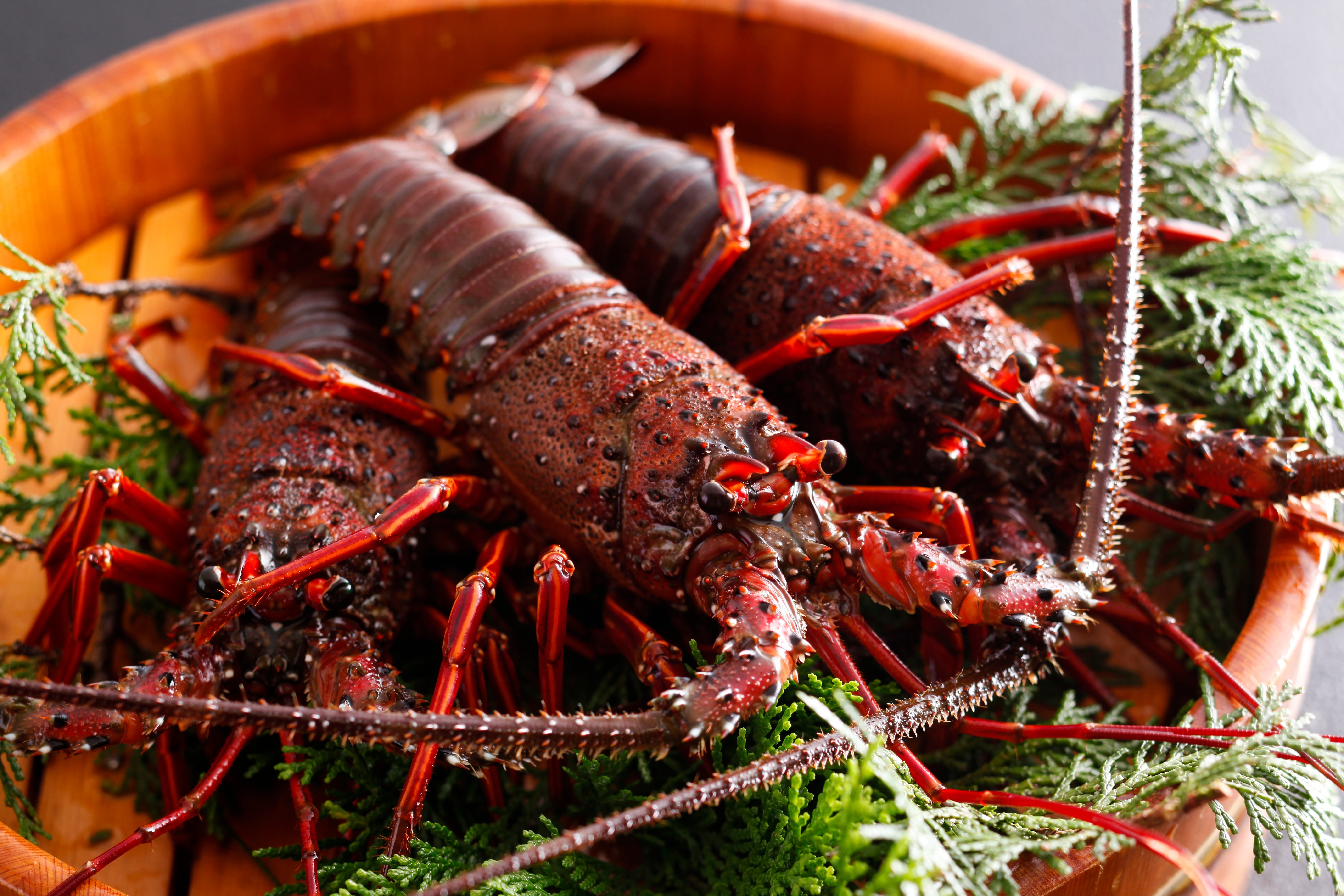 伊勢志摩産 瞬冷伊勢海老&殻付き的矢湾かき 20個入りセット