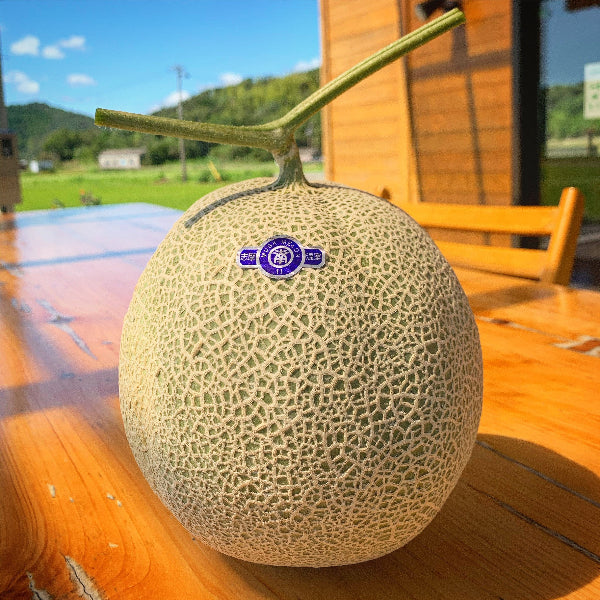 南張メロン 5玉 【大人気商品!川口農園の完熟メロン】