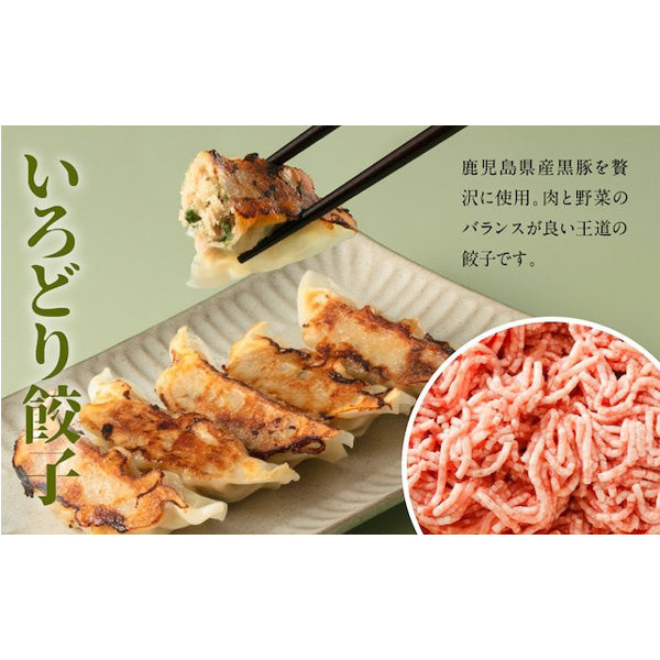 いろどり餃子80個セット