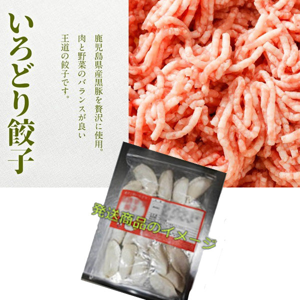 いろどり餃子80個セット