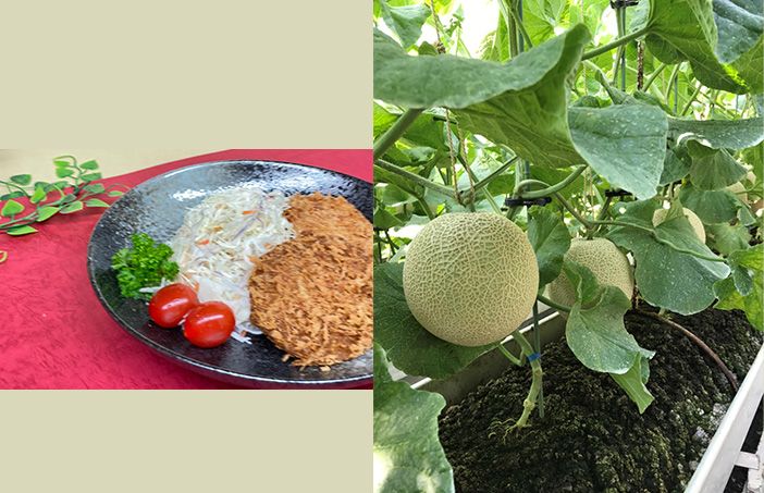 南張りメロン&丸中 惣菜セット