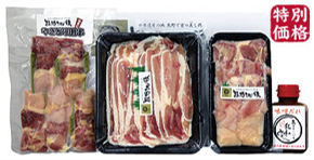 熊野地鶏&伊勢うどんセット