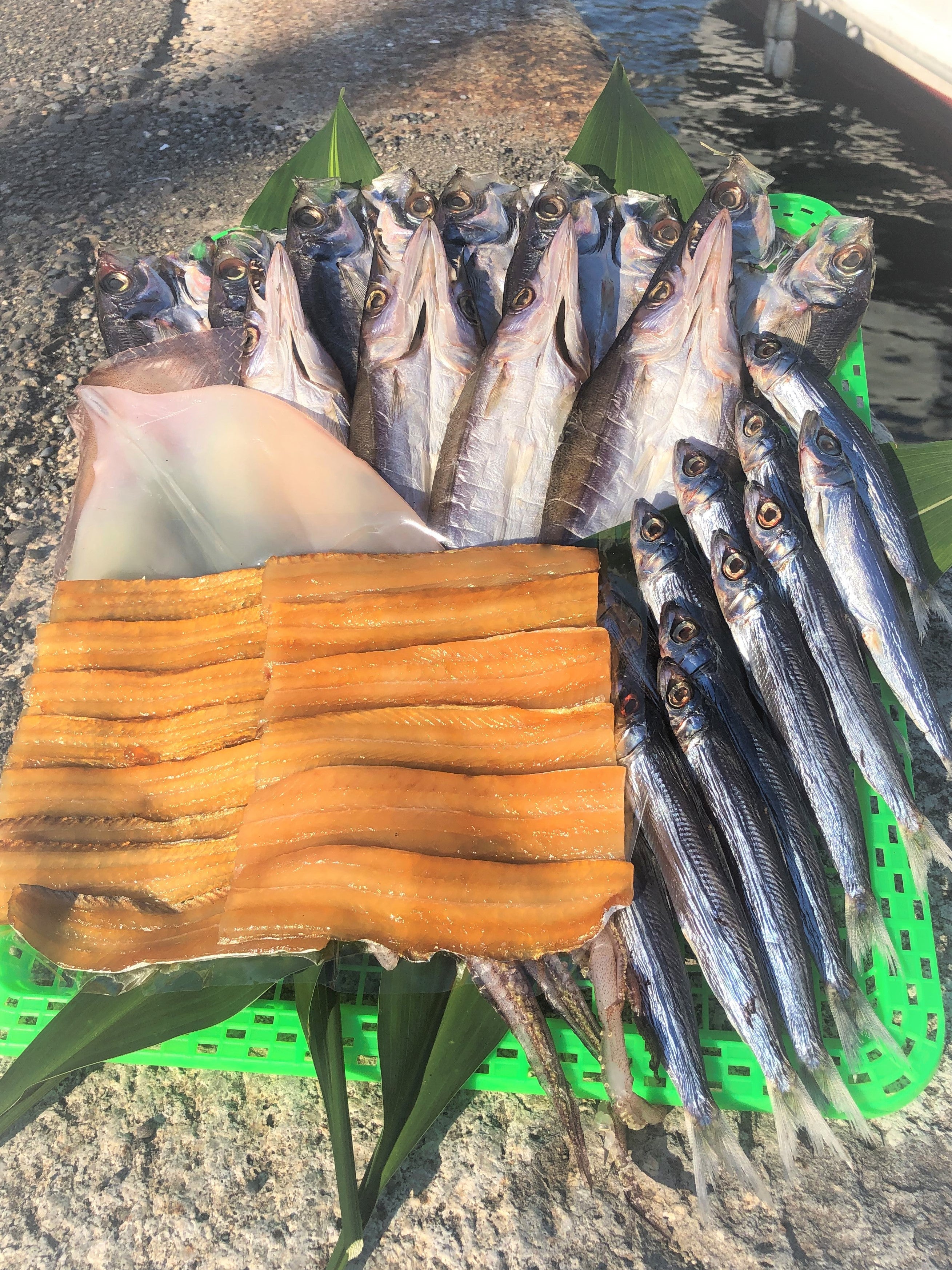 海の幸詰合せ&干物おまかせセット