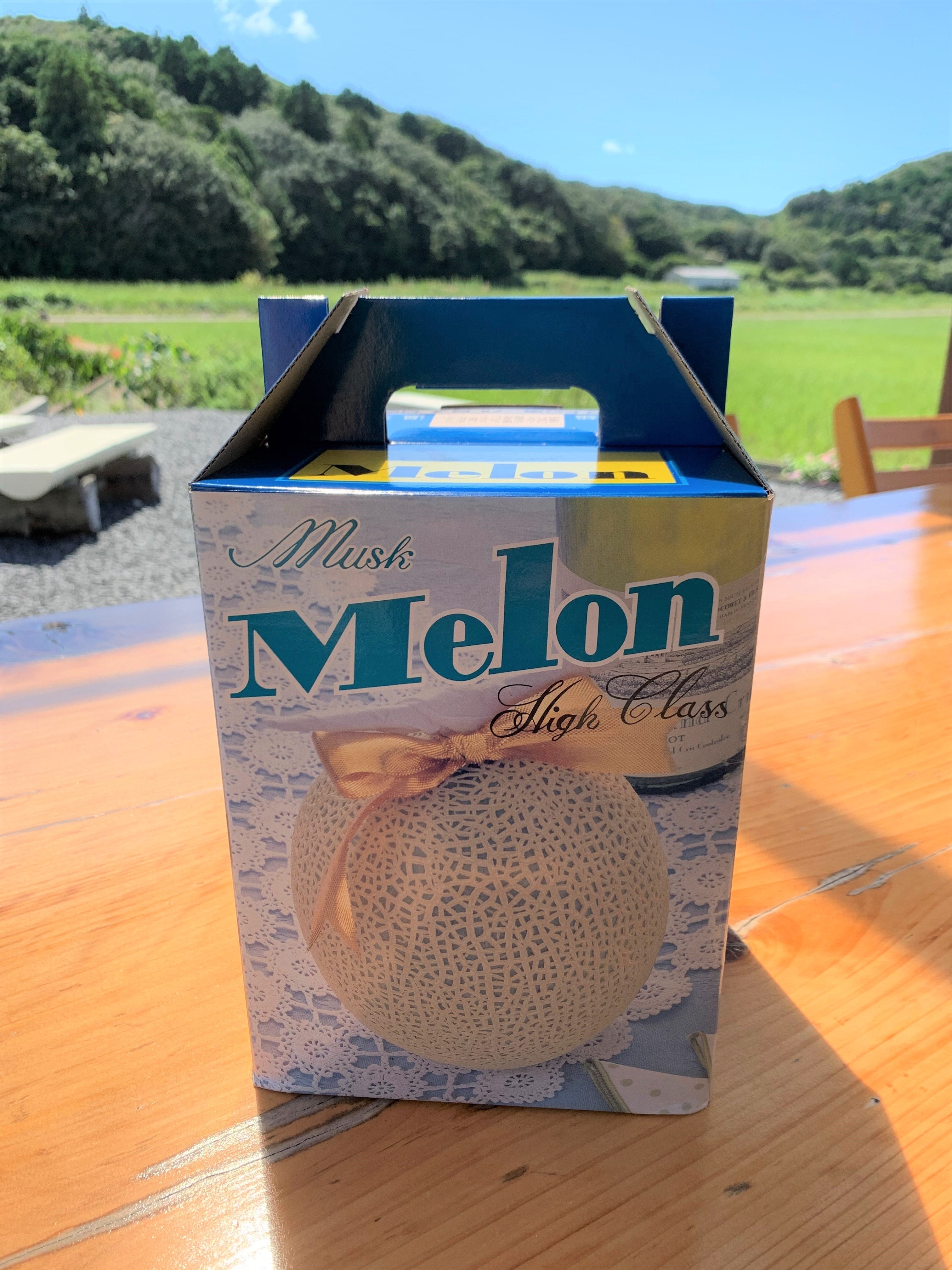 南張メロン 5玉 【大人気商品!川口農園の完熟メロン】