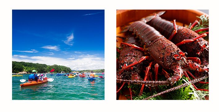 シーカヤック体験&伊勢志摩産 伊勢海老セット