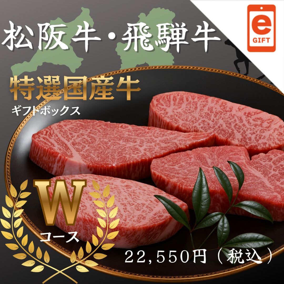 松阪牛・飛騨牛特選ギフトボックス Wコース【e-gift】