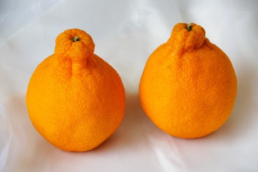 デコポン（柑橘）