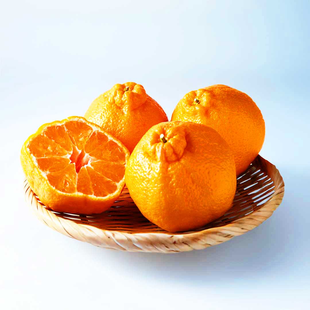 デコポン（柑橘）