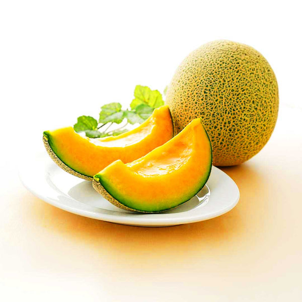 111000018AdobeStock_277662410_