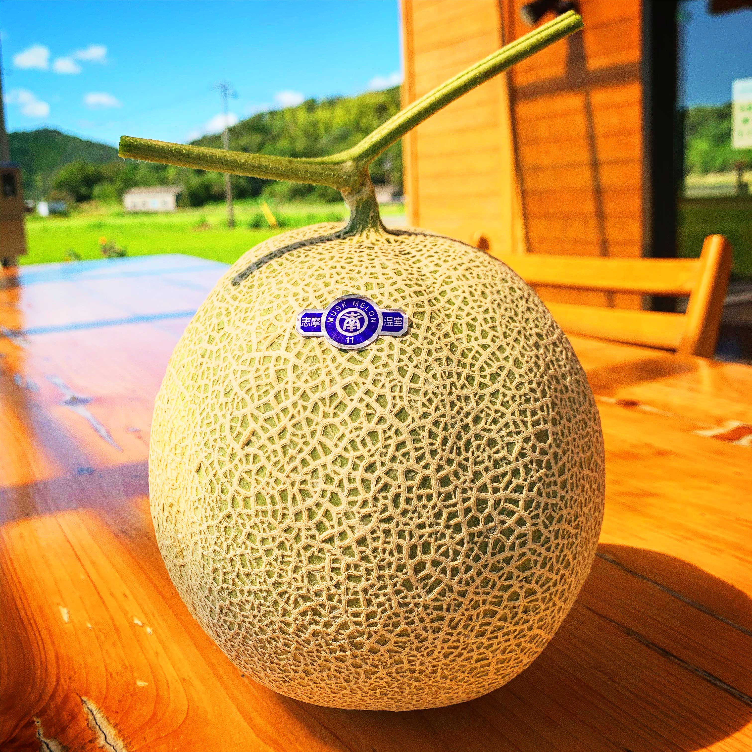 南張メロン　１玉　【大人気商品！川口農園の完熟メロン】
