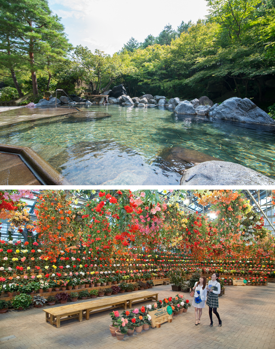 遊園地・湯あみの島＆ベゴニアガーデン（花まつり期間）＆昆布詰合わせ②