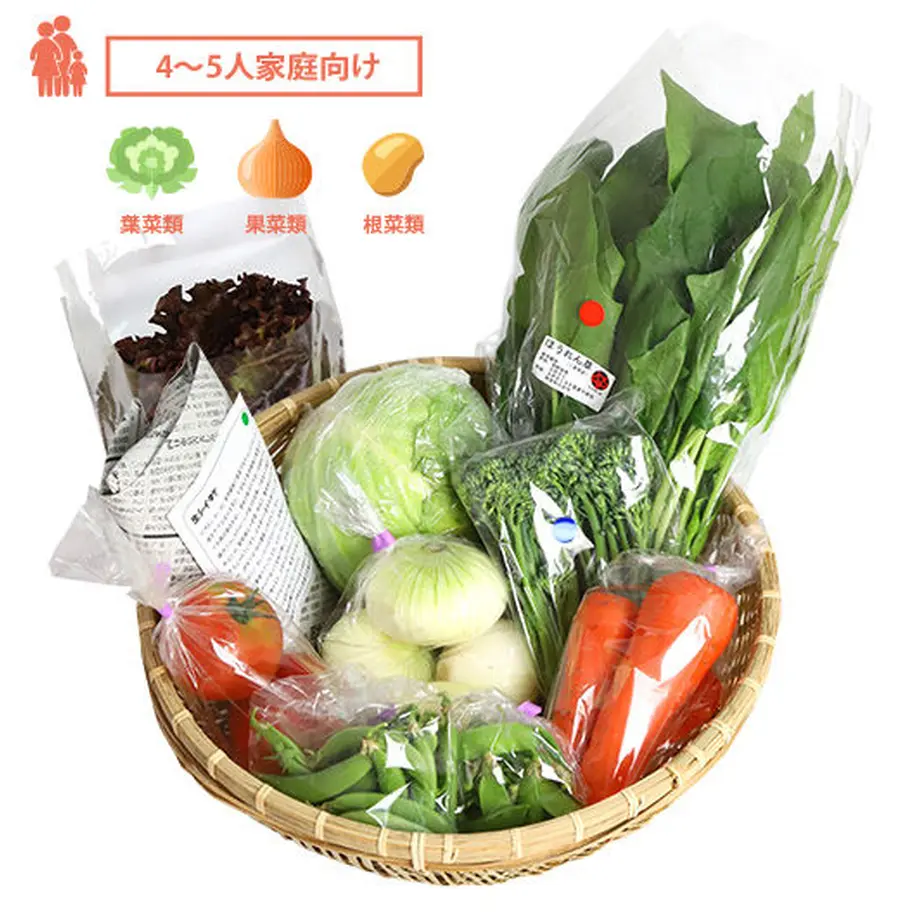 季節の安心野菜10品目セット・Mセット「メディオ」定期便