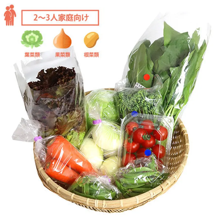 季節の安心野菜10品目セット・Sセット「サルーテ」定期便①